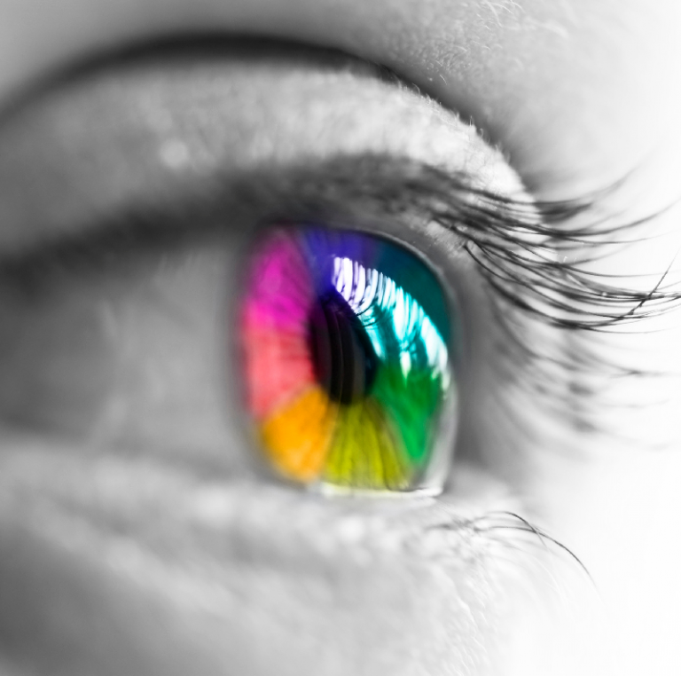 stock.adobe.com / DATEI NR.: 36041755